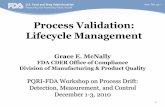 Process Validation: Lifecycle Management - PQRIpqri.org/wp-content/uploads/2015/08/pdf/McNally.pdf · 2 Agenda • Process Validation lifecycle as described in FDA’s new Guidance