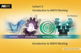 Lecture 3: Introduction to ANSYS Meshing -  · PDF fileLecture 3: Introduction to ANSYS Meshing ... Introduction to ANSYS Meshing ... –ICEM CFD, TGRID (Fluent Meshing),
