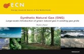 Synthetic Natural Gas (SNG) · PDF fileSNG - “Synthetic Natural Gas”, contains mainly CH 4 produced via gasification of coal and or biomass followed by methanation bio-SNG - SNG