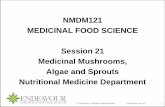 NMDM121 MEDICINAL FOOD SCIENCE Session 21 Medicinal ... · PDF fileAlgae and Sprouts Nutritional Medicine Department ... medicinal mushrooms and immune disorders, ... medicinal Chinese