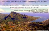 Linking microbial ecology to ecosystem process from ...seagrant.soest.hawaii.edu/sites/default/files/6.nelson.2013.12.10.pdf · Linking microbial ecology to ecosystem process from