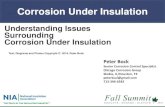 Corrosion Under Insulation · PDF fileCorrosion Under Insulation ` CUI is a recent branch of corrosion control Developed in the 1980’s and early 1990’s Primarily in Petrochemical