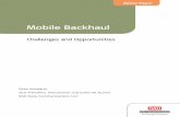 Mobile Backhaul - Challenges and Opportunities · PDF fileThe Access Company White Paper Mobile Backhaul Challenges and Opportunities Eitan Schwartz Vice President, Pseudowire and