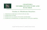 CHAPTER 8 MEMBRANE STUCTURE AND FUNCTION …lhsteacher.lexingtonma.org/Pohlman/08A-MembraneStructure.pdf · Section A: Membrane Structure 1.Membrane models have evolved to ﬁt new