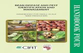 BEAN DISEASE AND PEST IDENTIFICATION AND MANAGEMENTciat-library.ciat.cgiar.org/Articulos_Ciat/Africa/... ·  · 2011-02-08Bean disease and pest identification and management / Robin