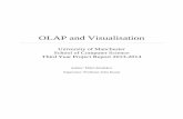 OLAP and Visualisation - University of Manchesterstudentnet.cs.manchester.ac.uk/resources/library/3rd-year-projects/... · Table of Contents 1. ... Figure 8 - Telerik RadControls