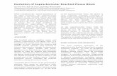 Evolution of Supraclavicular Brachial Plexus Blockrra.my/wp-content/uploads/2016/12/Evolution-of-Supraclavicular... · Evolution of Supraclavicular Brachial Plexus Block ... Its use