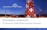 RP for emergency an industry view - IRPA thu lomond lips F6.3.pdf · RP for emergency –an industry view ... chief of staff piket engineer on duty piket engineers shift on duty ...