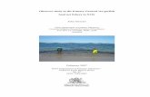Observer study in the Estuary General sea garfish haul net ... · PDF fileThe observer-based assessment concluded that the beach-based estuarine fishery for sea garfish ... which is