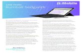 CASE STUDY Rumball Sedgwick STUDY Rumball Sedgwick increases surveyor productivity with Q-Mobile Rumball Sedgwick is a multi-discipline firm of Chartered Surveyors that has been carrying