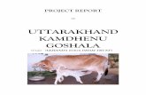 Uttarakhand Kamdhenu - · PDF fileM/s “UTTARAKHAND KAMDHENU GOSHALA” will be a unit of “AKHANDA YOGA DHAM ... Strengthening Infrastructure for Quality and Clean Milk Production
