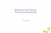 Workforce and Training: The Trainee Perspective · PDF filetraining period with a core curriculum Flexibility in ... computer modules, and ... documentation of competence in insertion