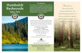 Humboldt Our Mission T Redwoods - California State Parks · PDF fileHumboldt Redwoods State Park Our Mission The mission of California State Parks is to provide for the health, inspiration