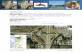 Tulalip Tribes Highway Interchange 76 miles south of the U.S.-Canada border, ... is amply evidenced by the $17.6 million worth of design and construction, ... The Tulalip Tribes,