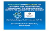 ACHIEVEMENTS AND BOTTLENECKS FOR … AND BOTTLENECKS FOR YELLOWFIN TUNA, Thunnus albacares PROPAGATION AT THE GONDOL RESEARCH INSTITUTE FOR MARICULTURE, BALI INDONESIA Jhon Harianto