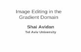 Image Editing in the Gradient Domain - Tel Aviv Universityipapps/Slides/lecture06.pdf · Image Editing in the Gradient Domain Shai Avidan ... – Only if they are curl-free ... •