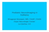 Pediatric Neuroimaging in Epilepsy - American Society of … Annual Meeting/Handouts... ·  · 2015-01-10Congenital Malformation ... • displaced masses of nerve cells (gray matter)