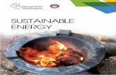 Insert.pdf ·  · 2016-09-06duce clean energy PrOject setuP And ... the project will create a stream of revenue ... Biomass briquettes ...