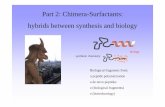 Part 2: Chimera-Surfactants: hybrids between synthesis and · PDF filePart 2: Chimera-Surfactants: hybrids between synthesis and biology Biological fragments from: o peptide polymerization