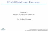 Lecture 3 Digital Image Fundamentals Dr. Arslan Shaukat · PDF fileDigital Image Fundamentals Dr. Arslan Shaukat ... Image Sampling and Quantization ... –Binary (1 bit quantization)