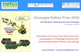 Giuseppe Pellizzi Prize 2016 - Club of Bologna: a world ... of Cherry Tree Branches and Localization of Shaking Positions for Automated Sweet Cherry Harvesting Giuseppe Pellizzi Prize