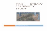 Pine Straw Feasibility Studydnr.wi.gov/.../documents/PineStrawFeasibilityStudy.pdf · Pine Straw Feasibility Study ... such as the increased emphasis being put on biomass energy production,