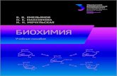 Биохимия : учебное пособиеelar.urfu.ru/bitstream/10995/44481/1/978-5-7996-1893-3_2016.pdf · Учебное пособие ... Пособие предназначено