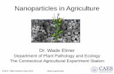 Nanoparticles in Agriculture - CT.GOV-Connecticut's … in Agriculture Dr. Wade Elmer Department of Plant Pathology and Ecology The Connecticut Agricultural Experiment Station CAES-