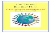 Our Beautiful Blue Boat Home - uufsd.orguufsd.org/wp/wp-content/uploads/2017/05/Blue-Boat-Home-Post...Our Beautiful Blue Boat Home UUFSD Post Auction Opportunities to Bid Due Date