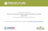 Agriculture and Nutrition Global Learning and Evidence ... · PDF fileencadenamientos empresariales de los departamentos de San Marcos, Huehuetenango , Quetzatlenango ,Quchi é y T