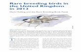 Rare breeding birds in the United Kingdom in 2013 · PDF fileon by the UK Rare Breeding Birds Panel includes the four countries of the UK (England, Wales, ... and Tawny Owls Strix