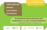 Wheat Innovation Workshop - INRA - Événements · PDF fileInternational Wheat Innovation Workshop - 16 th& 17 November 2015 ... (e.g. wheat crop ontology + environment ontology +