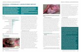 REGIONAL VETERINARY LABORATORIES REPORT · PDF fileby congestion and oedema of the tracheal mucosa. A ... and S choleraesuis in pigs. ... and diagnostic capabilities to maintain animal-disease