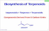 SCH 511 Biosynthesis of Terpenoids - University of …. Solomon Derese 3 SCH 511 Terpenoids, also known as isoprenoids or terpenes, are naturally occurring organic compounds constructed