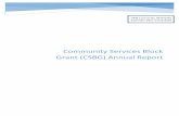 Community Services Block Grant (CSBG) Annual Services Block Grant (CSBG) Annual Report . ... Module 2 Instructional Notes ... Because the CSBG State Plan may cover two fiscal years,