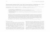 Komarekiella atlantica gen. et sp. nov. (Nostocaceae ... · PDF fileFirst by scra- ping biofilms ... Station Juréia–Itatins (24 26.481'S and 47 04.660'W). Ma- ... a final volume