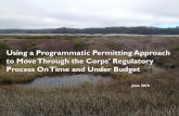 Using a Programmatic Permitting Approach to Move …bayplanningcoalition.org/wp-content/.../BPC-Programmatic-Permitting...Using a Programmatic Permitting Approach to Move Through the