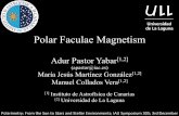 Polar Faculae Magnetism - High Altitude Observatory · PDF filePolar Faculae Magnetism ... Manuel Collados Vera[1,2] [1] Instituto de Astrofísica de Canarias [2] ... • Babcock &