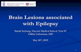 Brain Lesions associated with Epilepsyeradiology.bidmc.harvard.edu/LearningLab/central/Seeburg.pdf · Brain Lesions associated with Epilepsy Daniel Seeburg, Harvard Medical School,