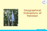 Geographical Indications of Pakistan - wtopunjab.gov.pk Seminar/GIs of Pakistan.pdf · 9 mosaic work-multan ipo-pakistan tomb bahaudin zakria. 10 hyderabad bangles ipo-pakistan. 11