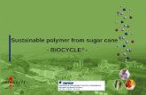 Sustainable polymer from sugar cane - · PDF filesugarcane (1) −Energy generation capacity of approximately ... Sugar Cane presents the highest energetic productivity compared to