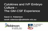 Cytokines and IVF Embryo Culture – The GM-CSF … C13.pdfCytokines and IVF Embryo Culture – ... Pathway from laboratory to clinic . ... di est P1 P2 P3 P4 GM-CSF expression in