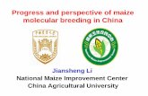 Progress and perspective of maize molecular breeding in · PDF fileOutline of Presentation Maize production in China Introduction of national maize improvement center Progress of molecular