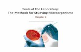 Tools of the Laboratory: for Studying Microorganisms · The Methods for Studying Microorganisms Chapter 2. What are the challenges if you want to study ... Microbes are everywhere