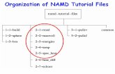 Organization of NAMD Tutorial Files -  · Organization of NAMD Tutorial Files. ... (T=310K, p=1atm), periodic BC, full electrostatics, time-step 2fs (SHAKE) output: ... B x T s γ