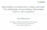 Biomarkers of lameness in dairy animals: The challenge … challenge of translating information from in vitro systems ... Kingdom of Saudi Arabia . ... Novel Diagnostics and Biomarkers