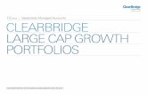 2017 CLEARBRIDGE LARGE CAP GROWTH PORTFOLIOS · 4 q 2017 s eparately managed accounts clearbridge large cap growth portfolios in v es t m en t p r o d u c ts : n o t fd ic in s u