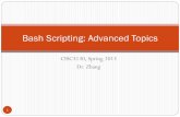 Bash Scripting: Advanced Topics - Fordhamstorm.cis.fordham.edu/~zhang/cs3130/slides/ShellAdvanced.pdf · Bash Scripting: Advanced Topics . ... How to write to standard output in shell