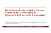 Multi-Scale Study of Spark Plasma Sintering for … Study of Spark Plasma Sintering for ... Computer modeling of sintering process has no ... transformations at the dissociative evaporation