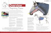 and Brought to you by Overview Respiratory Disease Brought to you by... Equine Dental Vets an organisation committed to advancing horse health Our group is made up of Equine Dental